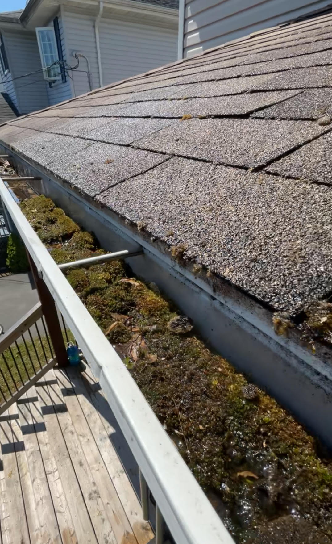 Gutter Cleaning